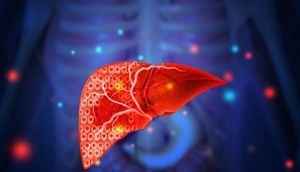POSTECH Unveils 3D Liver Imaging Breakthrough With Ultrasound