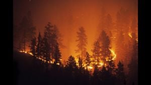 Communities Unite As Wildfires Rage Across Regions