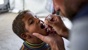 Gaza Polio Vaccination Campaign Achieves Remarkable Success