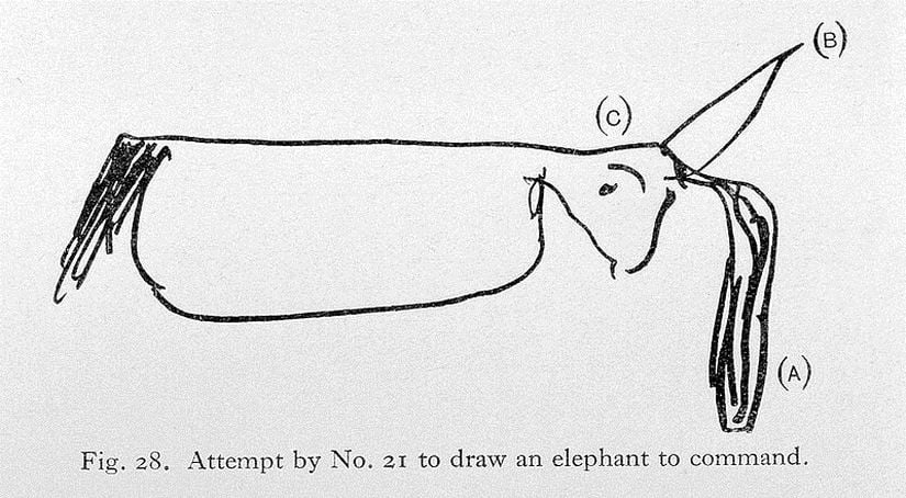 Bir Afazi Hastasının Fil Çizimi (21 No'lu Hastanın Fil Çizme Denemesi)