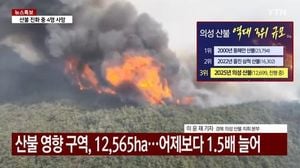 Deadly Wildfires In South Korea Devastate Communities And Culture