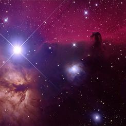 Orion's Horsehead Nebula