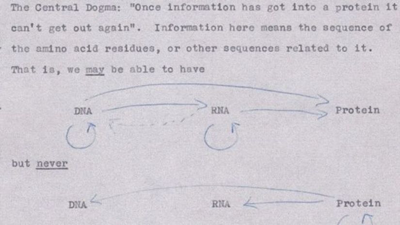 Merkezi Dogma: "Bilgi bir kez bir proteine girdiğinde, bir daha geri çıkamaz." Burada bilgi; amino asit kalıntılarının dizilimi veya onunla bağlantılı diğer dizilimler demektir.
