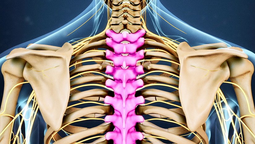 Torakal Disk Hernisi Nedir ?