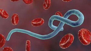 Nigeria Heightens Alert Amid Ebola Outbreak In Congo