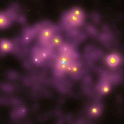 Andromeda İçin X