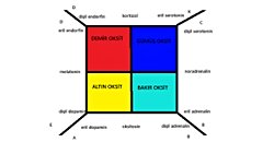 Vitaminler, Metaller ve Harfler Arasında Gizli Bir Uyum mu Var? Bir Sezgisel Keşfin İzinde