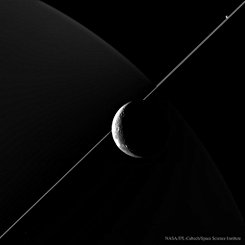  In the Company of Dione 