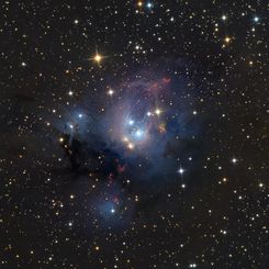 Young Suns of NGC 7129