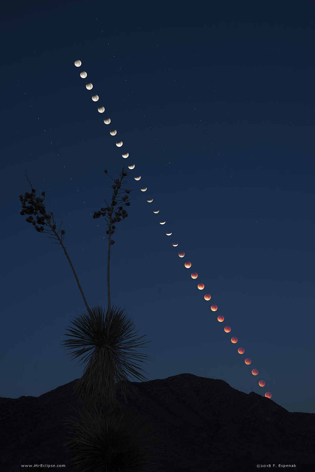  Total Lunar Eclipse at Moonset 