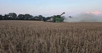 Soybean farmers face uncertainty as Chinese orders cease