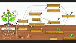 Use of Nanotechnology for Safe Agriculture and Food Production : Challenges and Limitations