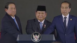 Prabowo Launches Danantara Investment Agency For Economic Growth