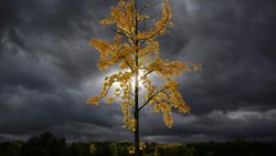 İNSANLAR NEDEN BİRŞEYE İNANMAK İSTER ?