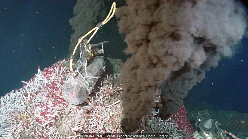 Siyah hidrotermal bacalar