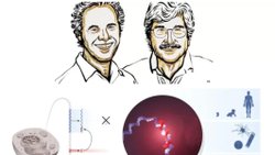 ''MikroRNA: Hücrelerin Gizli Düzenleyicileri ve Genetik Kodun Sessiz Kahramanları''