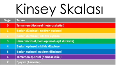 Kinsey Skalası: Düzcinsellikten, Eşcinselliğe Yelpaze