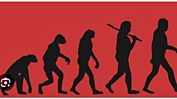 Evrimde bilgi kirliliği