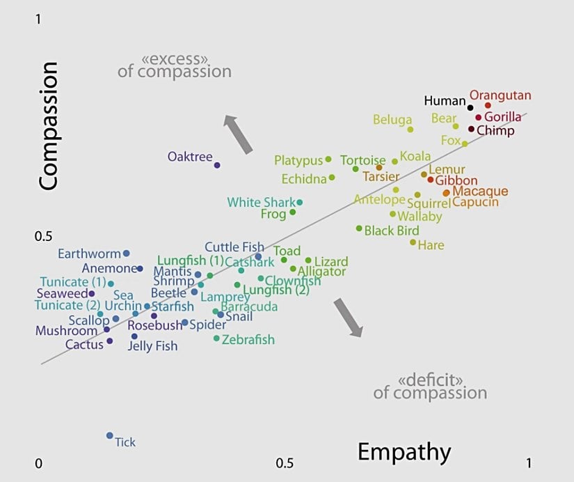 Figür 4: Empati ve merhamet sonuçlarının türlere göre oranları. Grafiğin empatiye daha yatkın olduğu görülebilir.