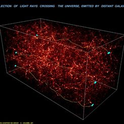 Weak Lensing Distorts the Universe