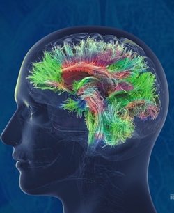 AI-AGI organizasyonu, Ai'in gelişimini farklı yerlere götürecek mi?