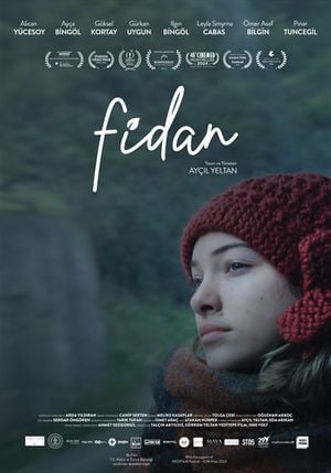 Fidan