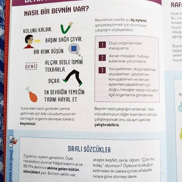Çalıştır Saksıyı: Beyni Geliştirmek İçin Oyunlar, Aktiviteler ve İpuçları (Carlo Carzan, Sonia Scalco)