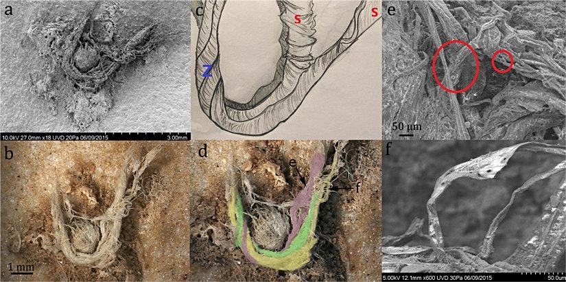 Keşif olan lifin gösterimi