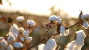 Exploring Gene Dynamics And Metabolite Profiles During Cotton Fiber Development