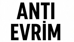 Evrim-Evren-X Teorisi