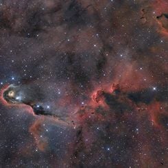 The Elephant's Trunk in Cepheus