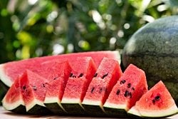 Karpuz meyve midir sebze midir?