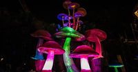 Hongos gigantes iluminados y picnic nocturno en el Bosque de Chapultepec; fechas y horarios