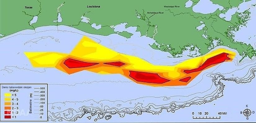 Meksika Körfezi Oksijensiz Bölgesi