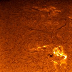 Sunspot 875 Flares