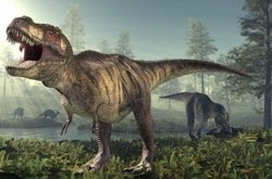 Kuşların ataları olan dinozorlar gibi neden dişleri yok, dişleri köreldi mi ve sebebi nedir?