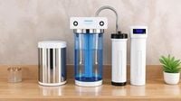 World Water Day 2025: Up to 60% off on water purifiers from Aquaguard, Havells Pureit and more | Mint