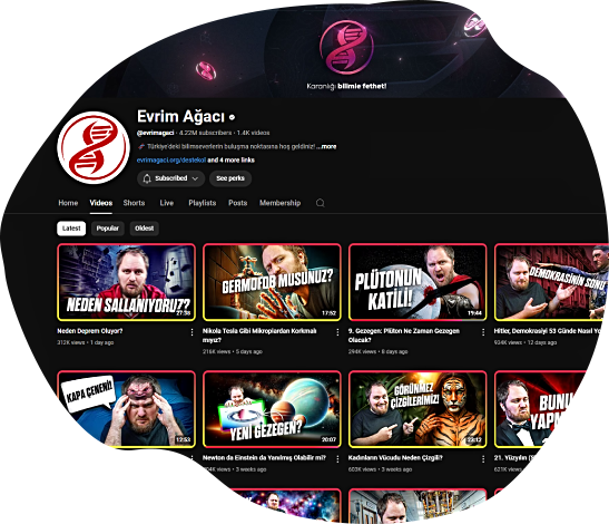 Evrim Ağacı Videolardan Çok Daha Fazlası!