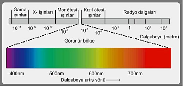 Görünür Işık Spektrumu