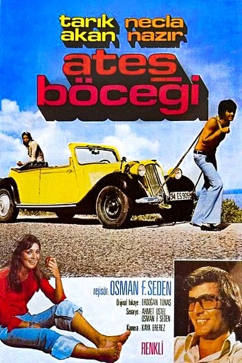 Ateş Böceği
