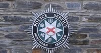 Two people injured, one critically, in stabbing attack in Co Down