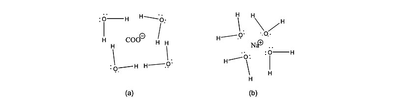 Bir çözünenin iyonları ile bir çözücünün molekülleri arasındaki etkileşim