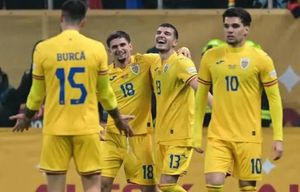 Romania Takes On Bosnia-Herzegovina In World Cup Qualifiers