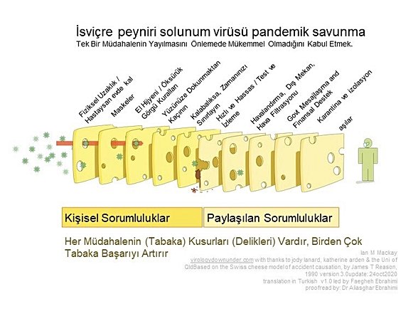 Solunum Hastalıklarına Karşı İsviçre Modeli