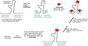 Revolutionary Method Enhances Oligonucleotide Selection Efficiency