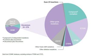 Dacomitinib Reveals Strong Efficacy For EGFR-Mutant Lung Cancer