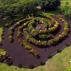 Kona Gökada Bahçesi