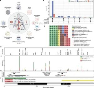 This Comprehensive Genomic Analysis Reveals Insights Into Hereditary Tumors