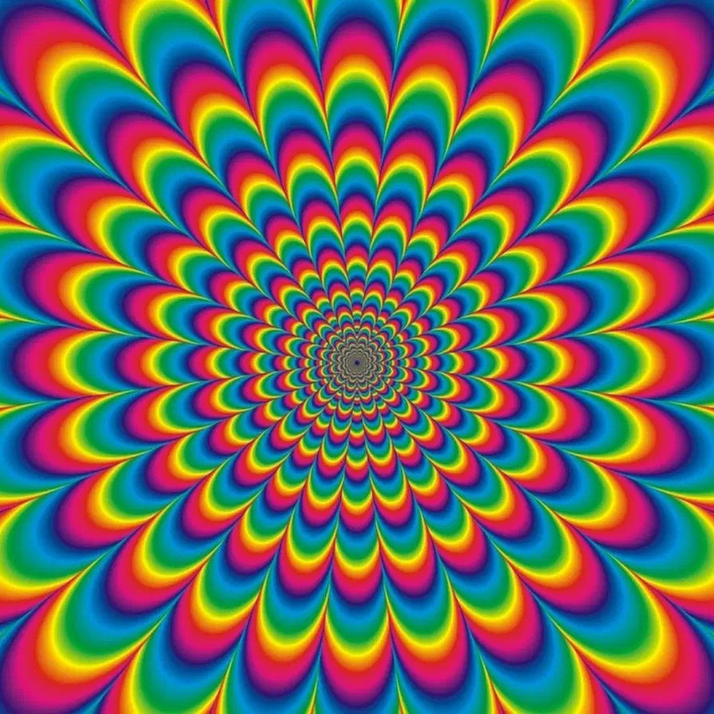 Evrim Ağacı ile Bilime Dair Her Şey!