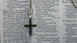 Trensendenthal Dialektik